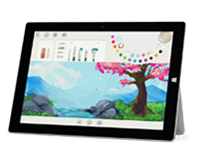 绥棱Surface 无法开启、Windows 无法启动或电池无法充电